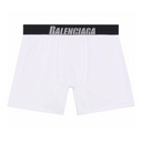 Waistband Boxer Briefs