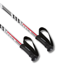 Aluminum Ski Poles
