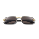 Sunglasses with Elongated C de Cartier Motif